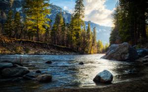 River Trees HDR Forest Rocks Stones HD wallpaper thumb