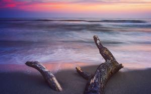 Log Beach Ocean Sunset HD wallpaper thumb