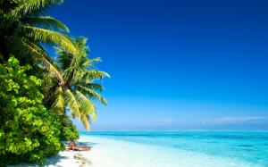 Nature, Landscape, Beach, Sea, Wave, Blue Sky, Palm Trees, Holidays wallpaper thumb