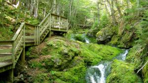 Stairs Over Falls In Fundy Np Canada wallpaper thumb