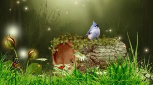 Bird In The Forest wallpaper thumb