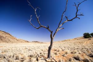 Nature Desertss Landscapes For Desktop wallpaper thumb