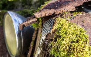 Renault Classic Car Classic Urban Decay Abandon Deserted Moss Rust HD wallpaper thumb