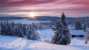 Landscape Covered In Snow wallpaper thumb