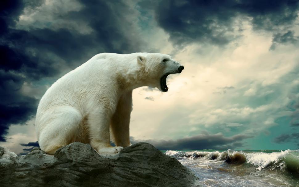 Polar Bear Shouting wallpaper,polar bear HD wallpaper,bear HD wallpaper,2880x1800 wallpaper
