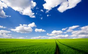road, greens, grass, sky, clouds, traces wallpaper thumb