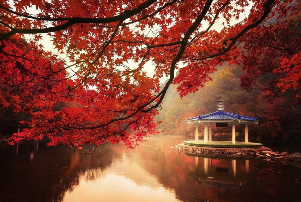 Nature, Landscape, Fall, Trees, Lake, Hill, Maple Leaves, Red, Mist, Water wallpaper,nature wallpaper,landscape wallpaper,fall wallpaper,trees wallpaper,lake wallpaper,hill wallpaper,maple leaves wallpaper,red wallpaper,mist wallpaper,water wallpaper,1300x875 wallpaper