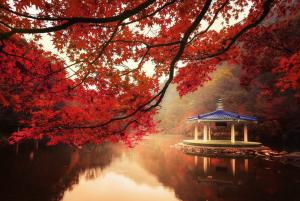 Nature, Landscape, Fall, Trees, Lake, Hill, Maple Leaves, Red, Mist, Water wallpaper thumb