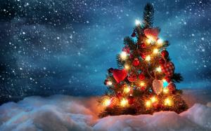lights, night, snow, holidays, winter, christmas Tree, cold wallpaper thumb