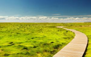 landscape, path, countryside, grass, grassland, horizon, trail, sky wallpaper thumb