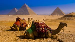 Camels Egypt Pyramids Desert HD wallpaper thumb