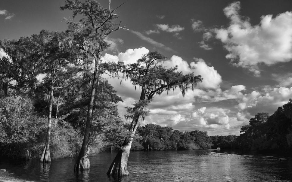 Trees BW River Clouds HD wallpaper,nature HD wallpaper,trees HD wallpaper,clouds HD wallpaper,bw HD wallpaper,river HD wallpaper,1920x1200 wallpaper