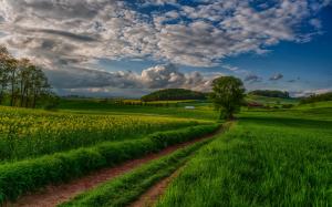 Nature landscape, fields, trees, clouds, sky wallpaper thumb