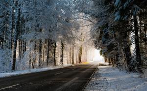 Winter, road, trees, snow wallpaper thumb