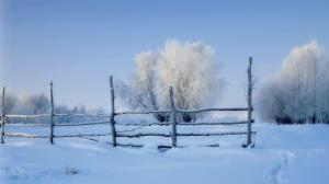 Snow in the morning, snow fences, trees, winter scenery wallpaper thumb