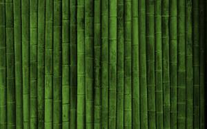 Bamboo wallpaper wallpaper thumb