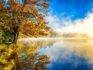 Autumn landscape, mist, nature, lake, forest wallpaper thumb