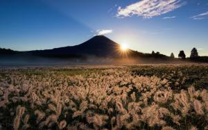 Japan, Fuji, mountain, grass, sun rays, sky, nature wallpaper thumb