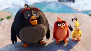 Bomb Red Chuck Angry Birds Movie wallpaper thumb
