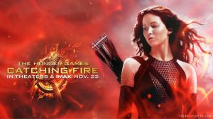 Hunger Games Catching Fire wallpaper thumb