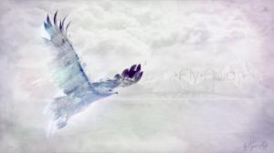 Light Water Eagles Fly Away Photo Manipulation Colors Speedart Skies Sea High Quality wallpaper thumb