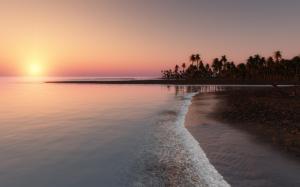 ocean, tropical, palm, coast, sunset, sky wallpaper thumb