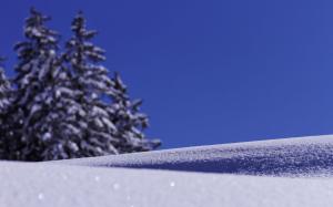 Bright snow wallpaper thumb