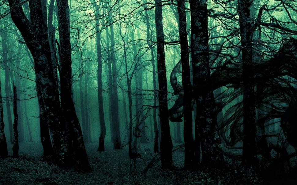 Forest, Landscape, Dark, Nature, Trees, Photo Manipulation, Gloomy wallpaper  | nature and landscape | Wallpaper Better