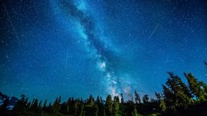 Stars Milky Way Galaxy Night Asteroid Forest Trees HD wallpaper thumb