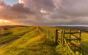West Sussex, England, landscape, grass, fence, farm, sheep wallpaper thumb