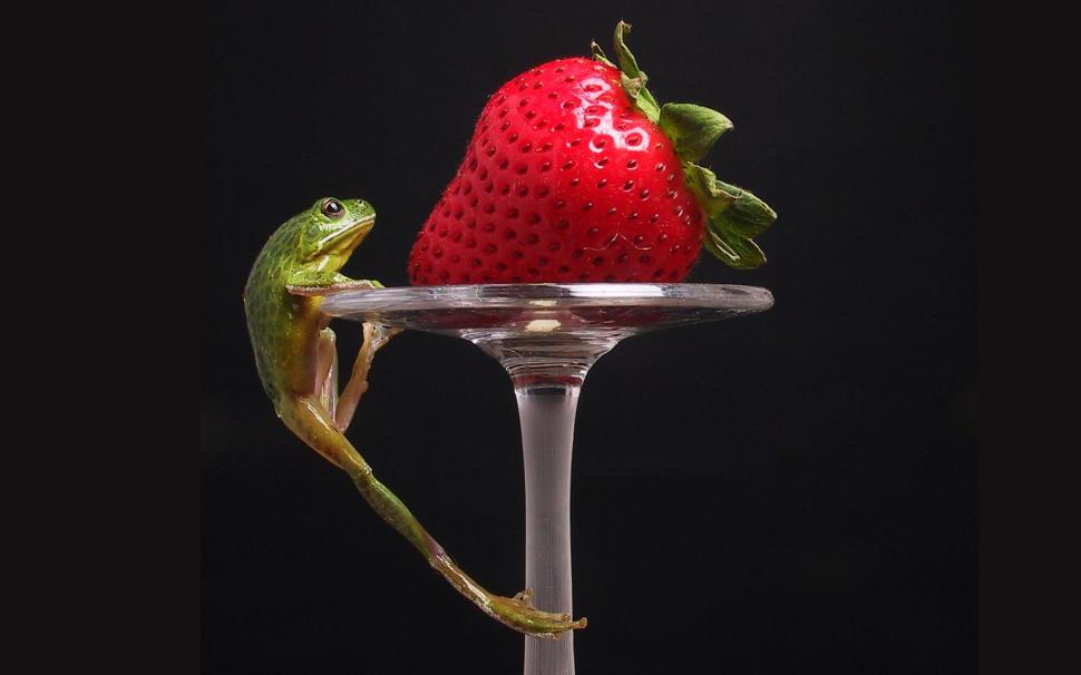 Frog Strawberry For Android wallpaper,fruits HD wallpaper,android HD wallpaper,frog HD wallpaper,strawberry HD wallpaper,1920x1200 wallpaper
