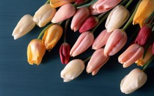 Budding tulips wallpaper thumb