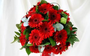 Bouquet of red gerbera flowers wallpaper thumb