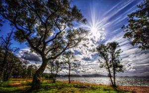 Sunlight HDR Clouds Trees Lake HD wallpaper thumb