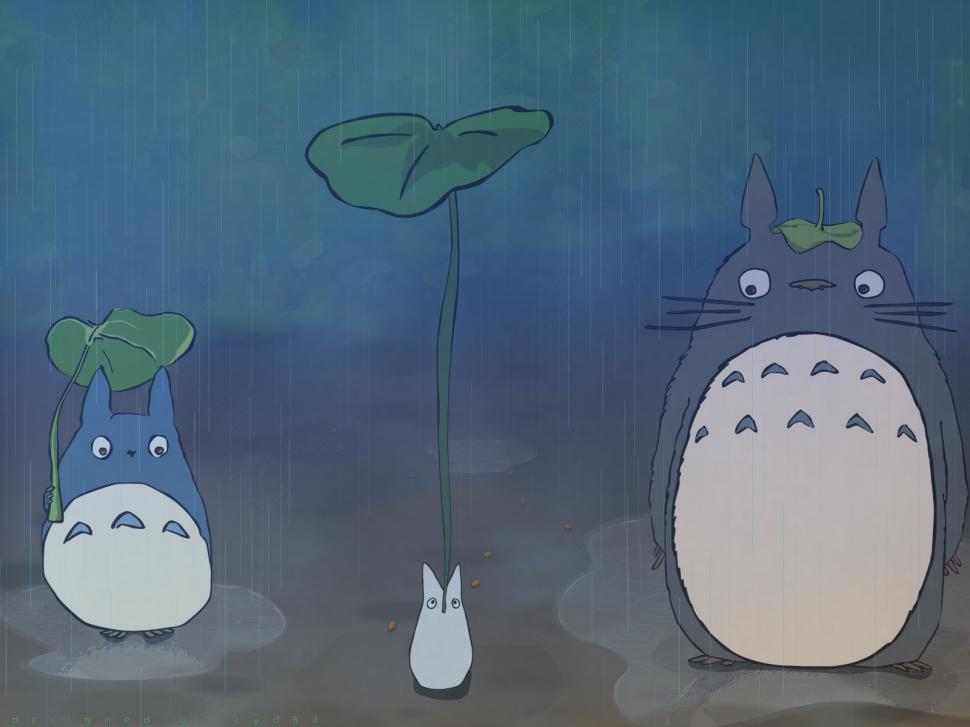My Neighbor Totoro Totoro Anime Rain Hd Wallpaper Anime