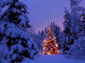 christmas trees, garland, snow, park, party, new year wallpaper thumb
