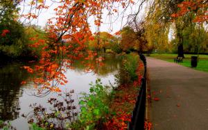 Leaves, park, trees, forest, autumn, walk, river wallpaper thumb