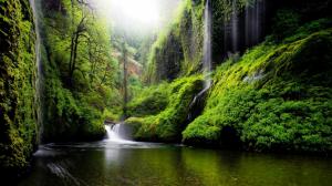 Oregon, river, water, waterfalls, nature, forest, woods, green, scenic wallpaper thumb