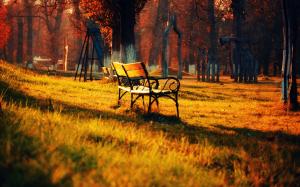 Golden autumn park nature landscape, lawn bench sun wallpaper thumb