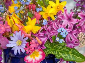 Spring Flowers From the Garden HD wallpaper thumb