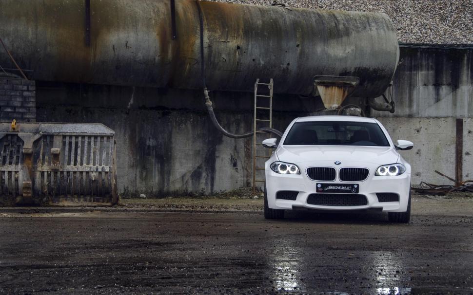 BMW M5 f10 White Car Front Tuning wallpaper,white HD wallpaper,front HD wallpaper,tuning HD wallpaper,1920x1200 wallpaper