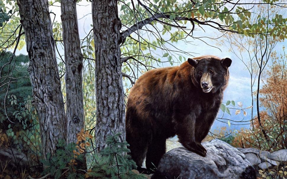 Bear wallpaper,bear wallpapers HD wallpaper,forest backgrounds HD wallpaper,trees HD wallpaper,2880x1800 wallpaper