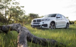 2015 BMW X6 xDrive F16 white car, grass wallpaper thumb