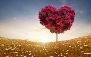 Love Heart Tree Fields wallpaper thumb