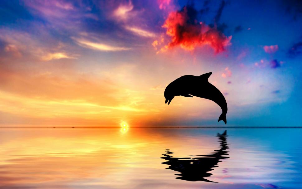 Dolphin jump wallpaper,dolphin jump HD wallpaper,silhouette HD wallpaper,Ocean HD wallpaper,reflection HD wallpaper,Sunset HD wallpaper,2880x1800 wallpaper