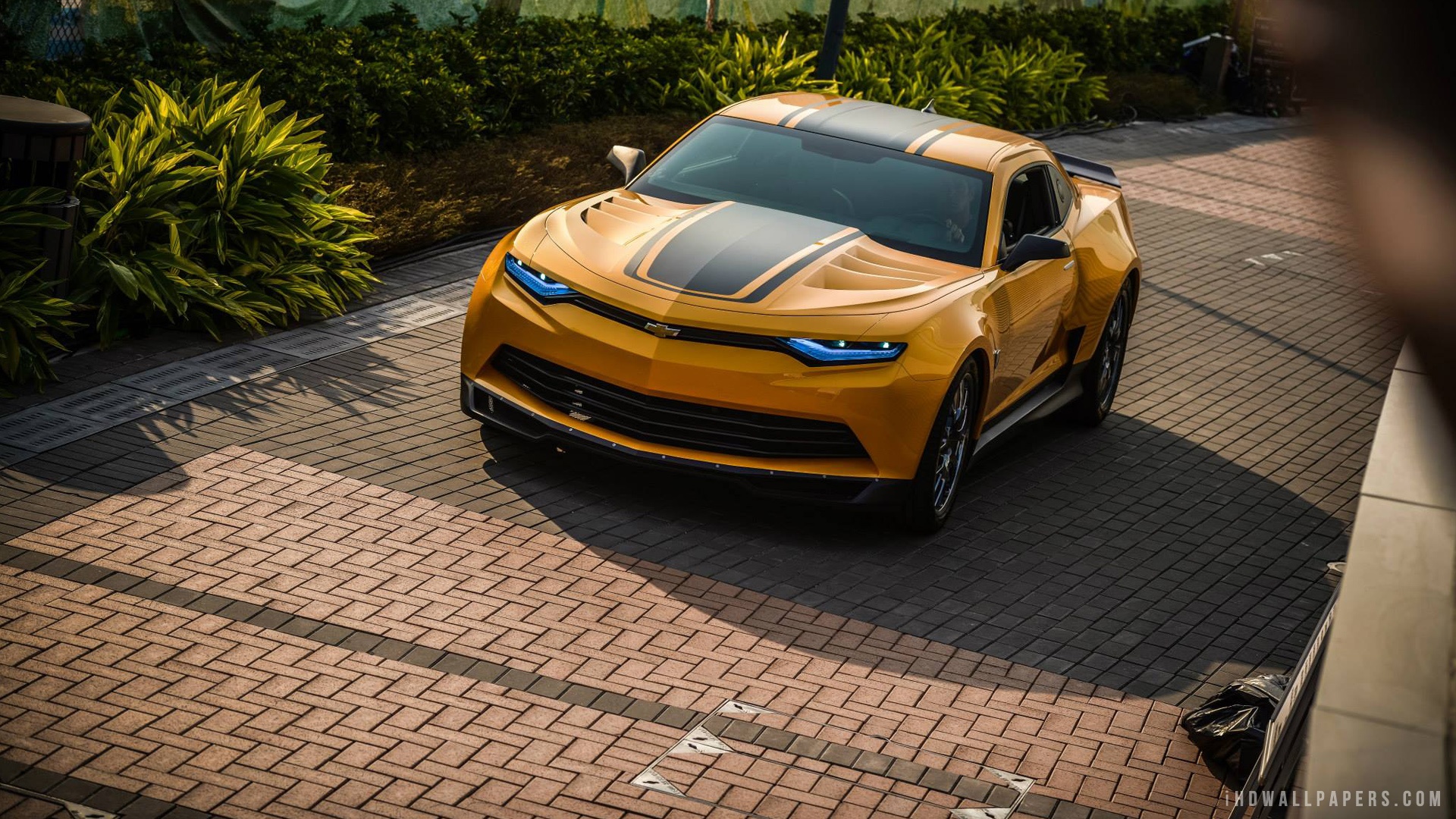 Download wallpaper for 1920x1200 resolution | New bumblebee Car in  Transformers 4 | movies and tv series | Wallpaper Better