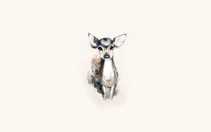 Deer Fawn White Drawing Background Pictures wallpaper thumb