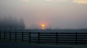 Horse Ranch In Evening Fog wallpaper thumb