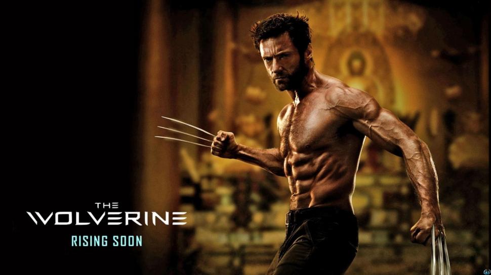 The Wolverine Wolverine Marvel Hugh Jackman Muscles Physique HD wallpaper,movies HD wallpaper,the HD wallpaper,marvel HD wallpaper,wolverine HD wallpaper,jackman HD wallpaper,hugh HD wallpaper,physique HD wallpaper,muscles HD wallpaper,1920x1080 wallpaper