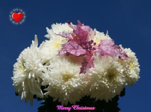 Merry Christmas  With Flowers wallpaper thumb